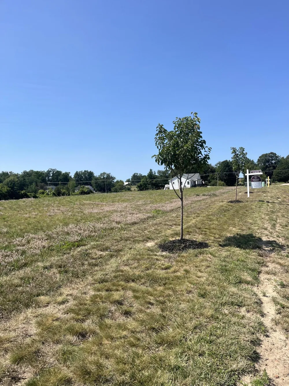 2178 Selah Way Fennville, MI 49408