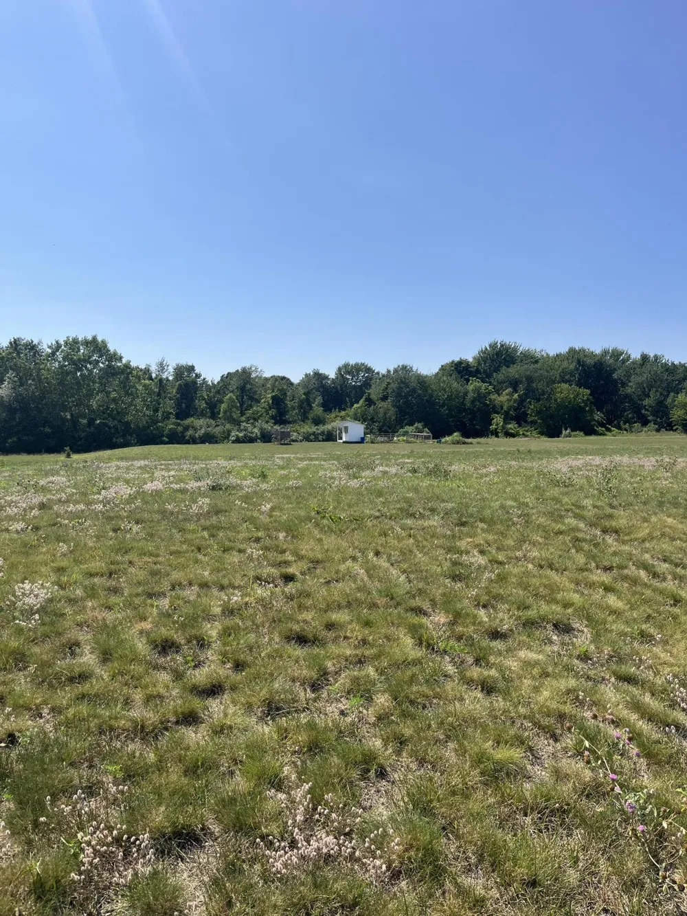2178 Selah Way Fennville, MI 49408