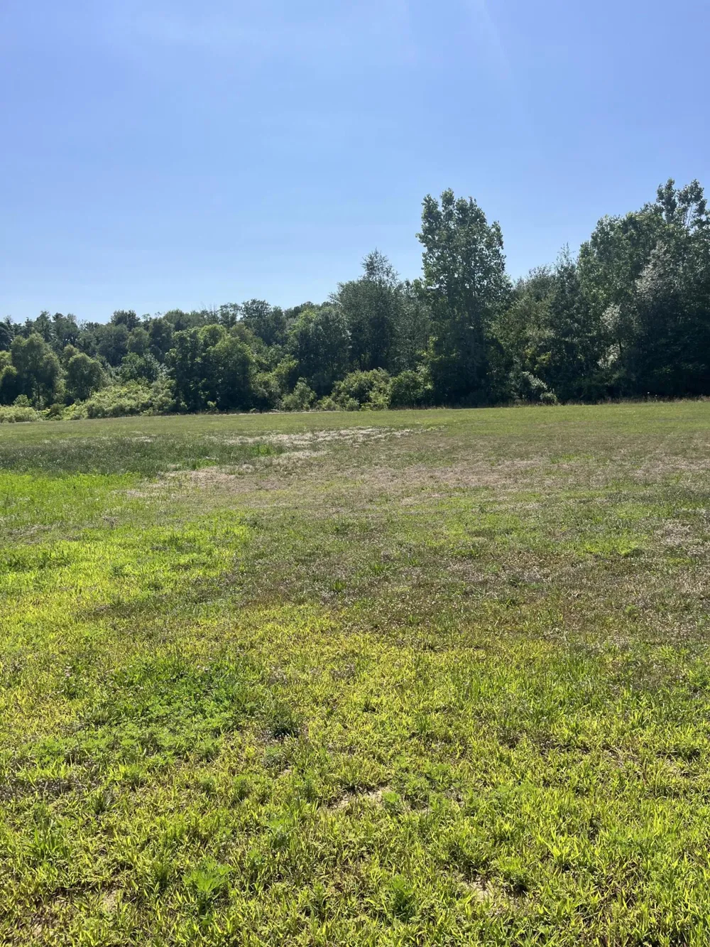 2170 Selah Way Fennville, MI 49408