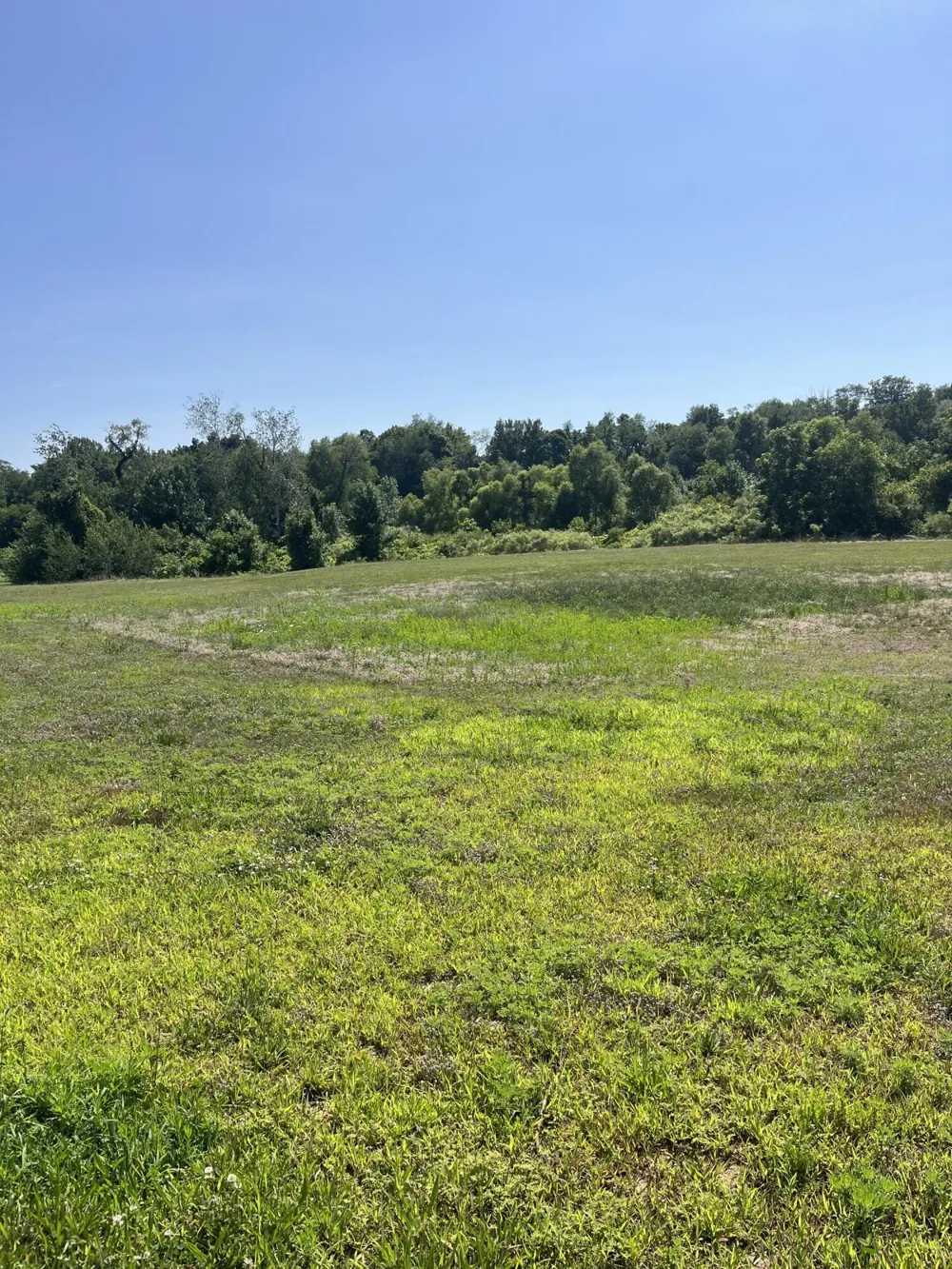 2170 Selah Way Fennville, MI 49408