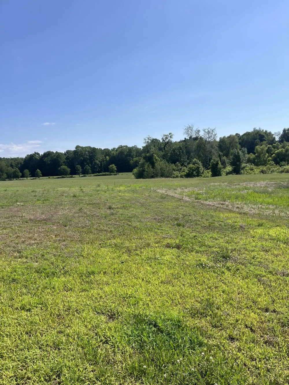 2170 Selah Way Fennville, MI 49408