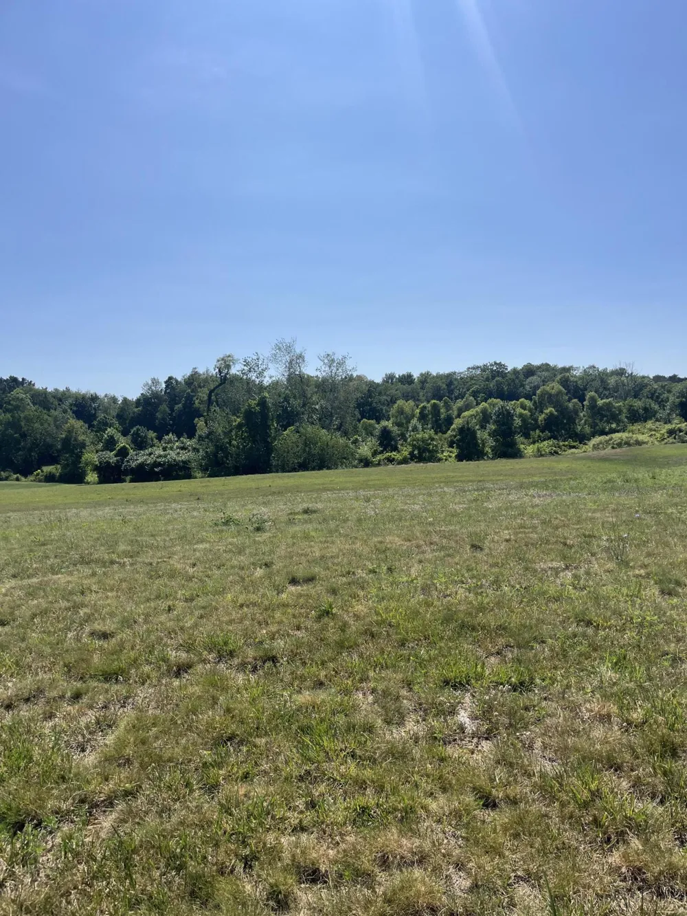 2170 Selah Way Fennville, MI 49408