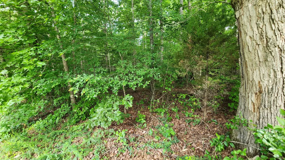 0 Riverwatch Trc Sparta, TN 38583