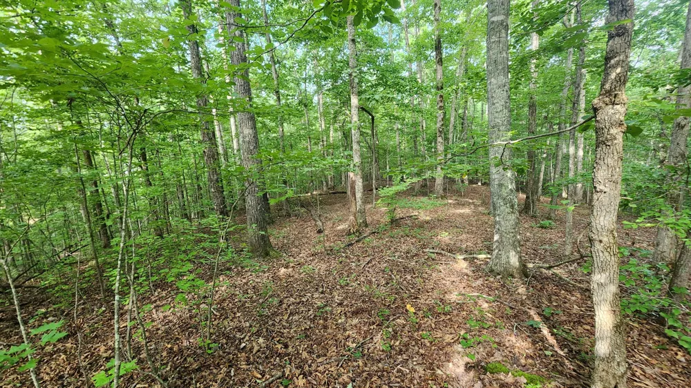 0 Riverwatch Trc Sparta, TN 38583