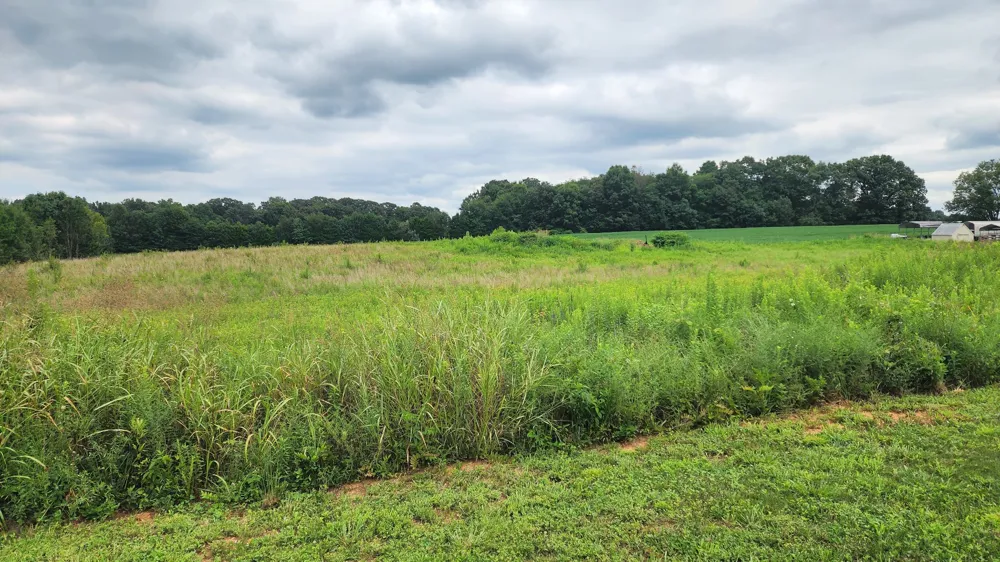 11430 Smithville Hwy Smithville, TN 37166