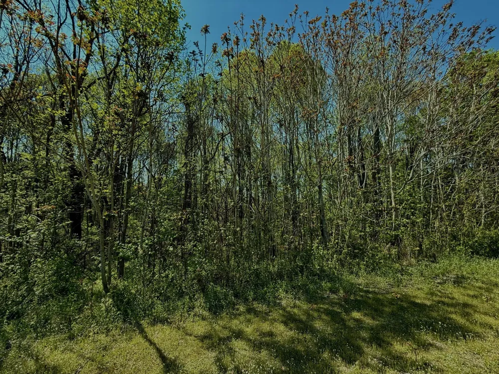 0 Kermet Turner Rd Rock Island, TN 38581