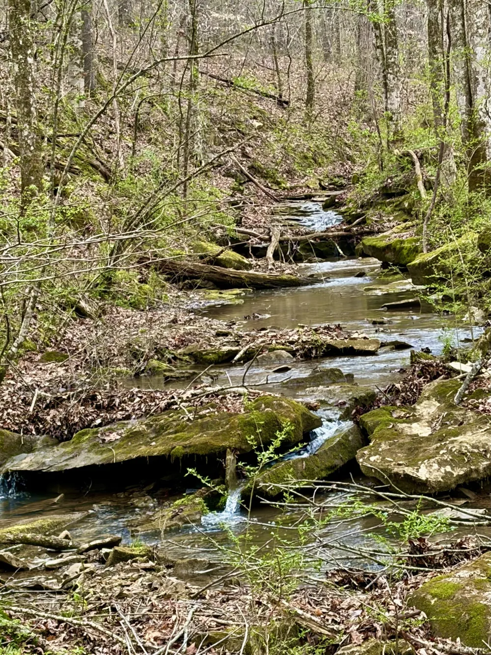 0 Kermet Turner Rd Rock Island, TN 38581