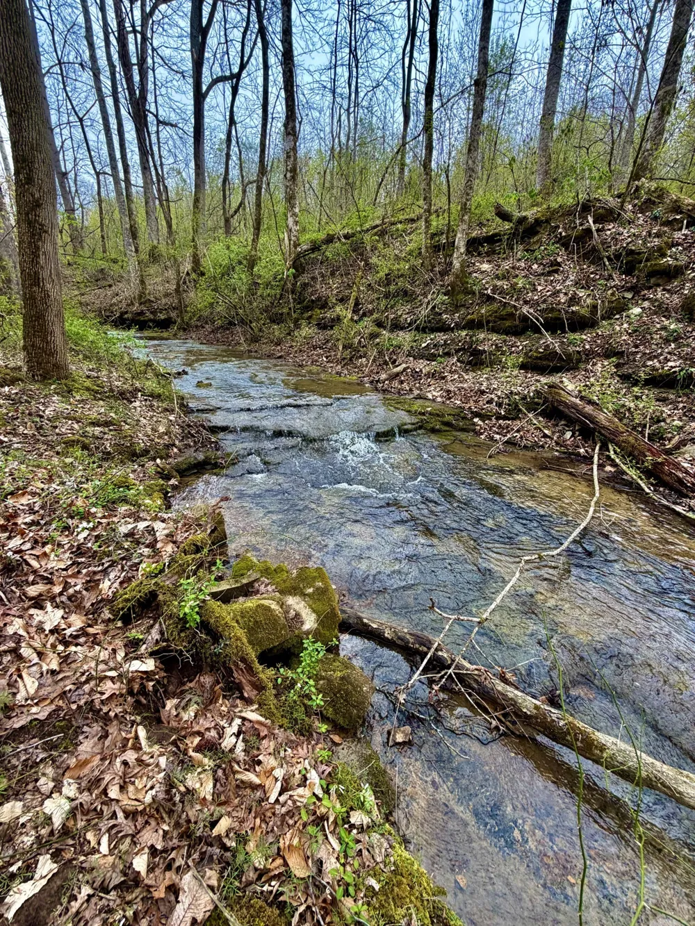 0 Kermet Turner Rd Rock Island, TN 38581