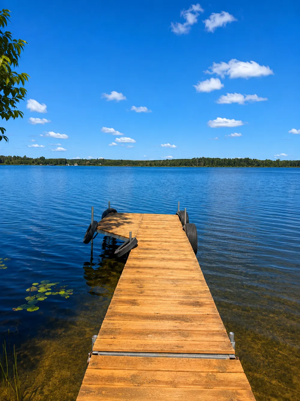 49410 Center Point Road Bigfork, MN 56628