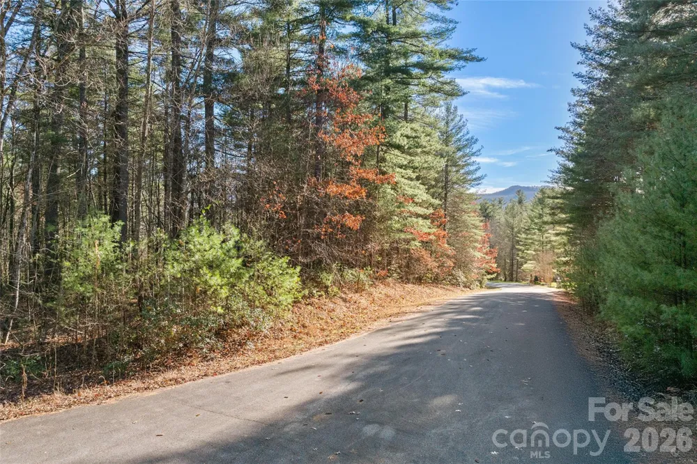 0 Daylily Drive #Lot 20 Hendersonville, NC 28739