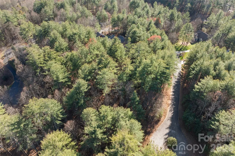 0 Daylily Drive #Lot 20 Hendersonville, NC 28739