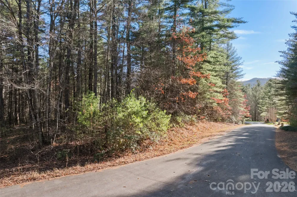 0 Daylily Drive #Lot 20 Hendersonville, NC 28739