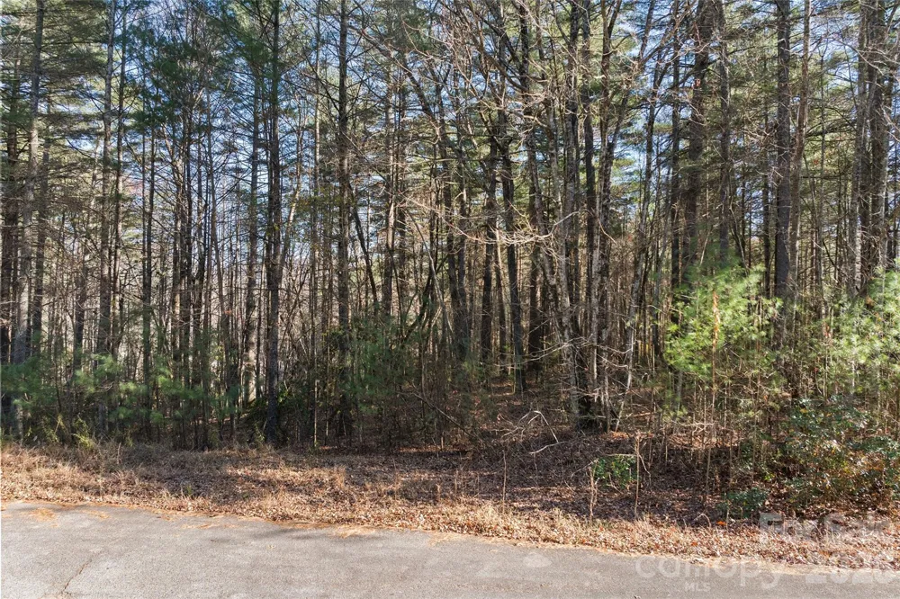 0 Daylily Drive #Lot 20 Hendersonville, NC 28739