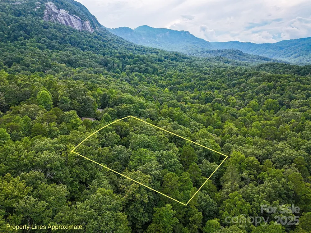 TBD Rumbling Bald Road #15 Lake Lure, NC 28746
