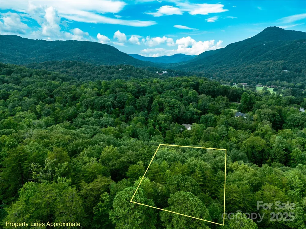 TBD Rumbling Bald Road #15 Lake Lure, NC 28746