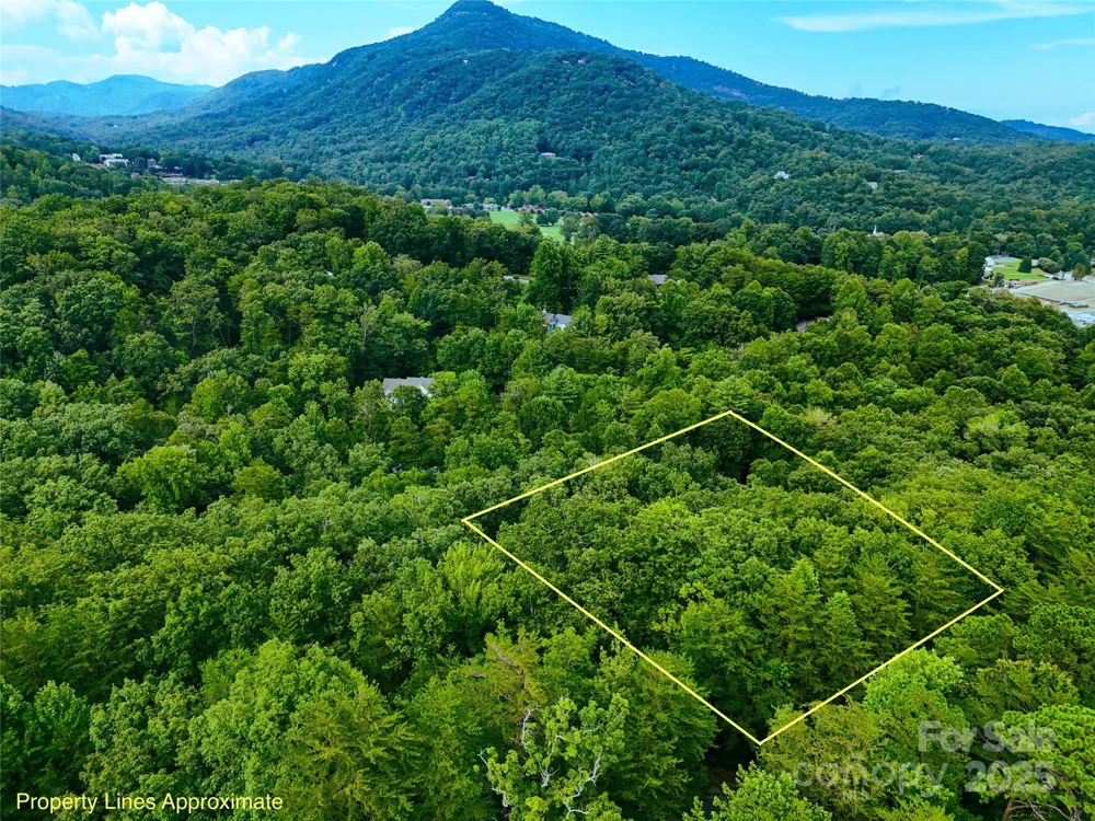 TBD Rumbling Bald Road #15 Lake Lure, NC 28746