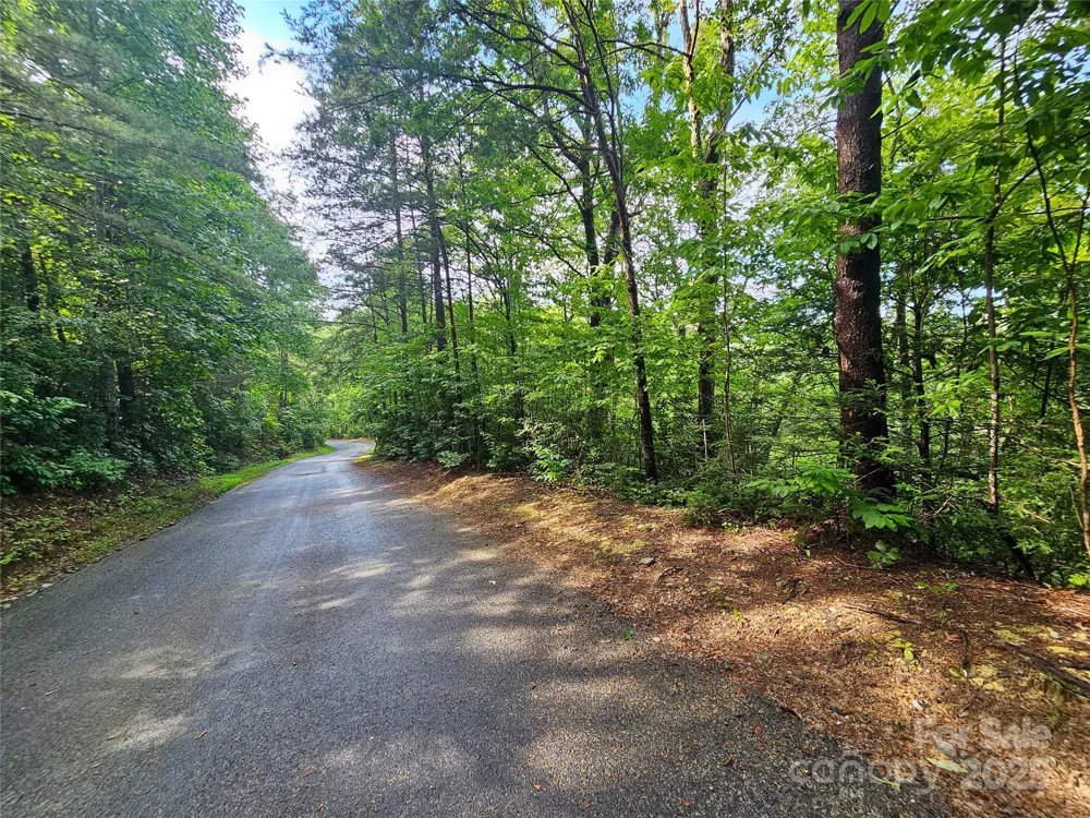 TBD Rumbling Bald Road #15 Lake Lure, NC 28746