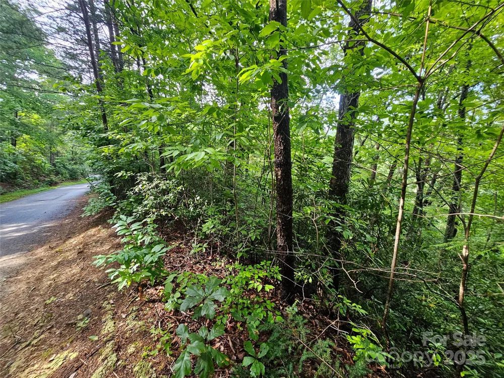 TBD Rumbling Bald Road #15 Lake Lure, NC 28746