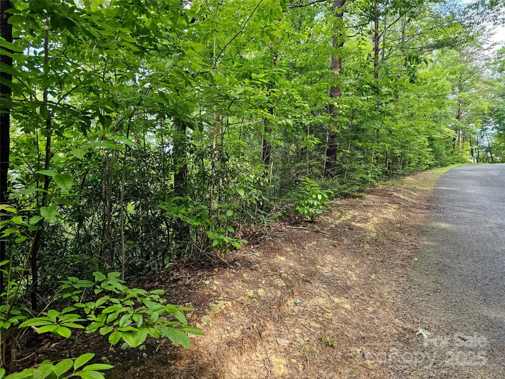 TBD Rumbling Bald Road #15 Lake Lure, NC 28746