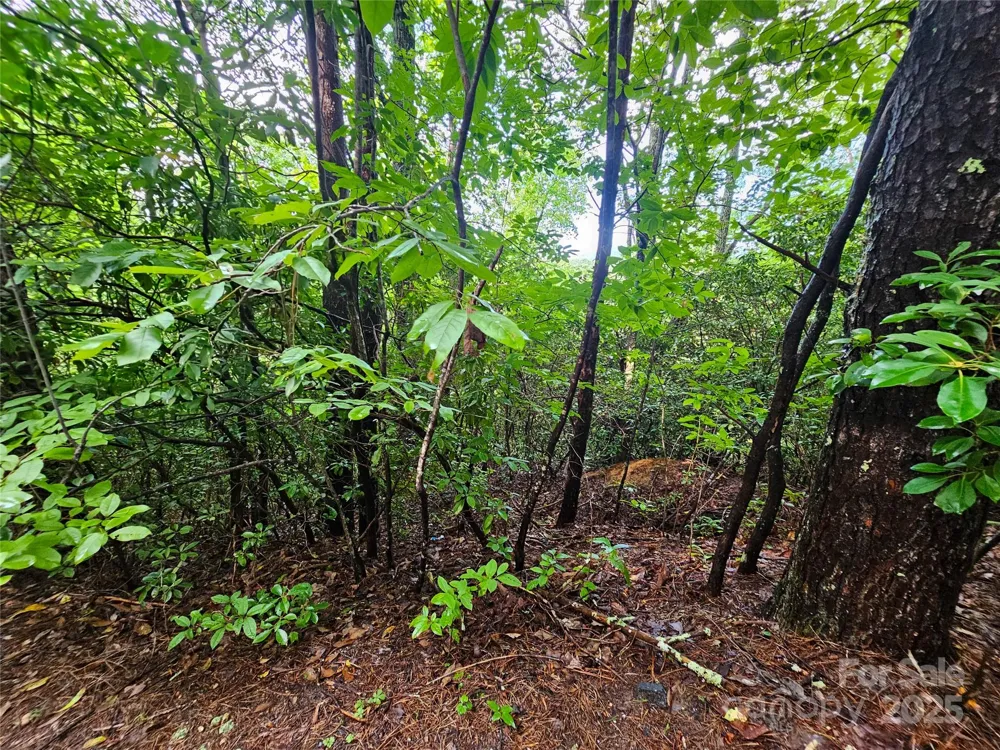 TBD Rumbling Bald Road #15 Lake Lure, NC 28746