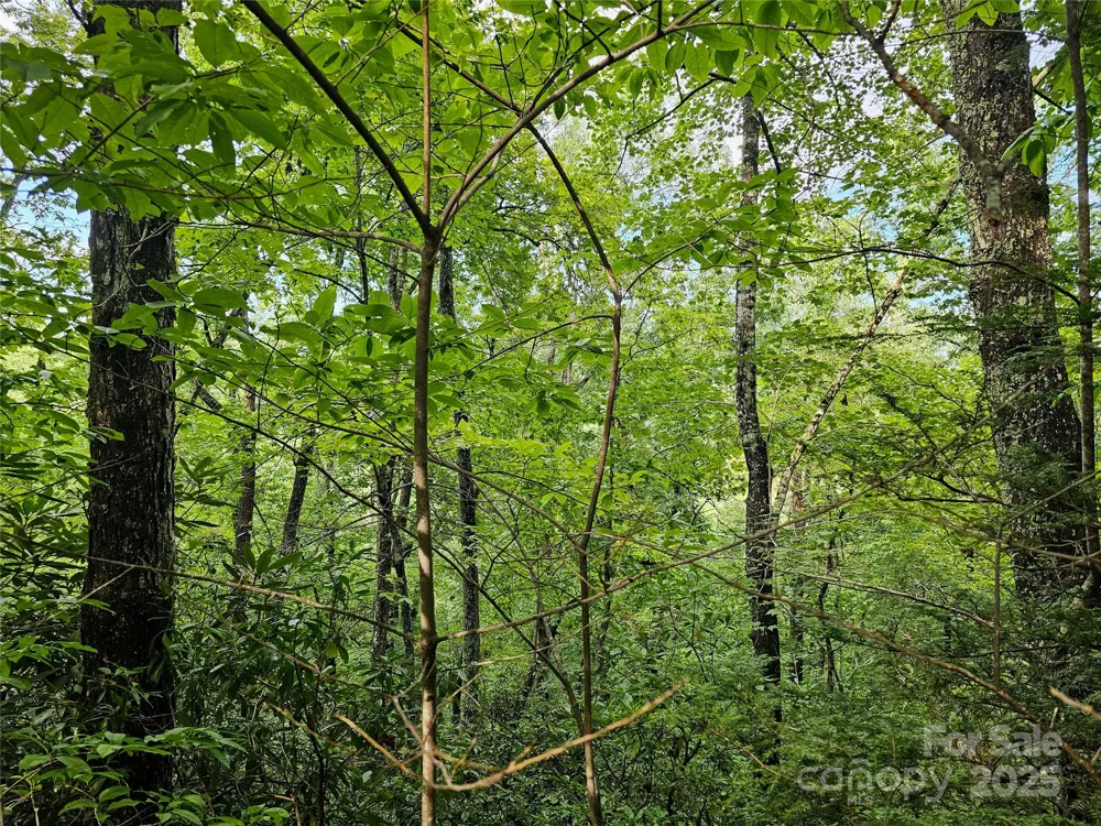 TBD Rumbling Bald Road #15 Lake Lure, NC 28746