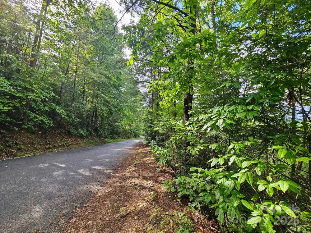 TBD Rumbling Bald Road #15 Lake Lure, NC 28746