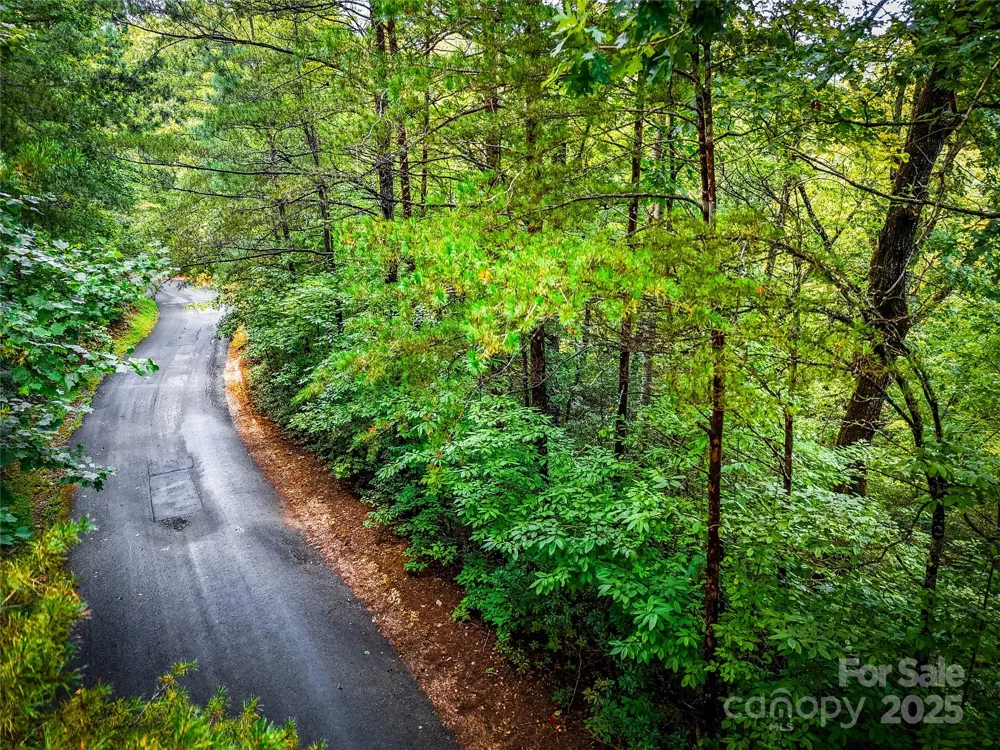 TBD Rumbling Bald Road #15 Lake Lure, NC 28746
