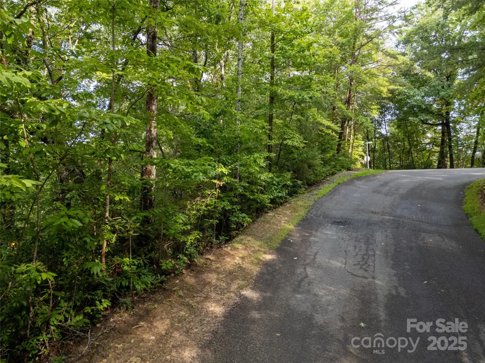 TBD Rumbling Bald Road #15 Lake Lure, NC 28746