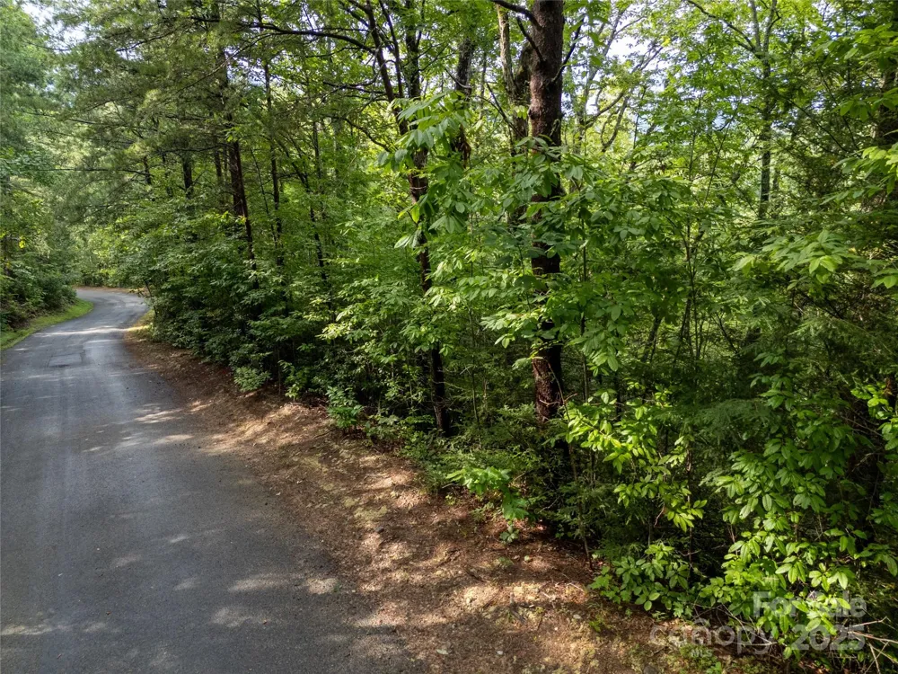 TBD Rumbling Bald Road #15 Lake Lure, NC 28746