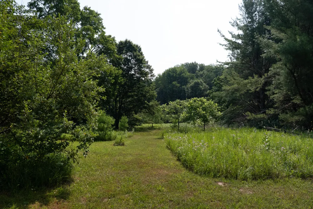 3820 Beech Avenue White Cloud, MI 49349