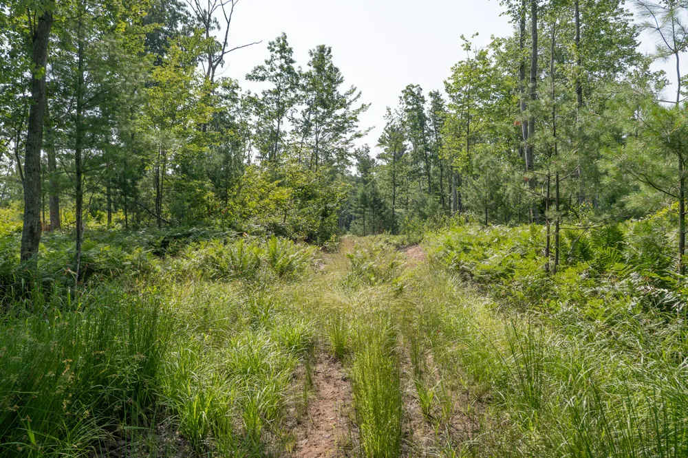 3820 Beech Avenue White Cloud, MI 49349