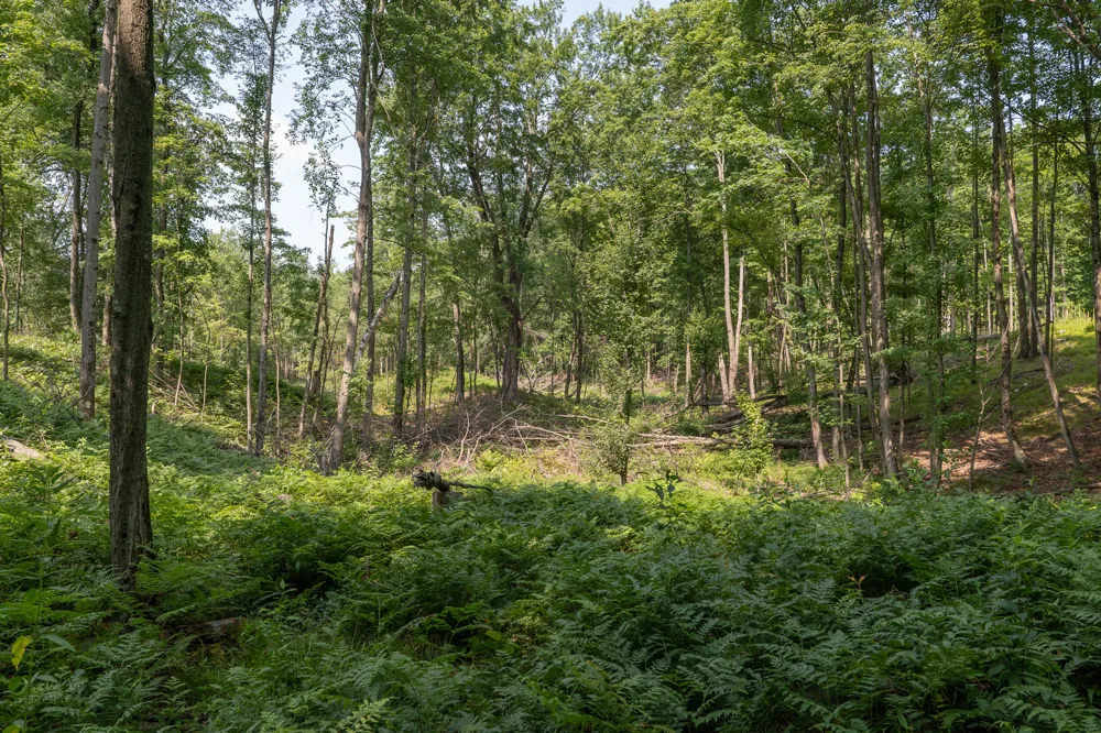 3820 Beech Avenue White Cloud, MI 49349