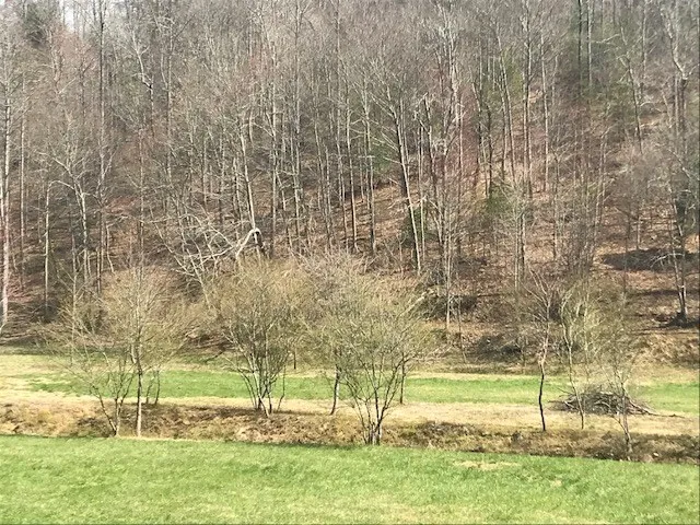 17.22 ac Skeenah Gap Road Suches, GA 30513