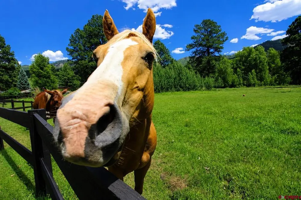 11161 CR 250 Durango, CO 81301