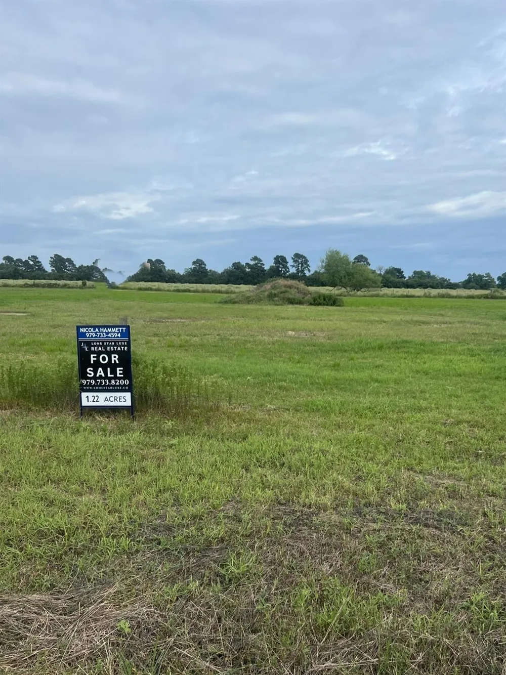 420 Ridgeview Drive Cat Spring, TX 78933