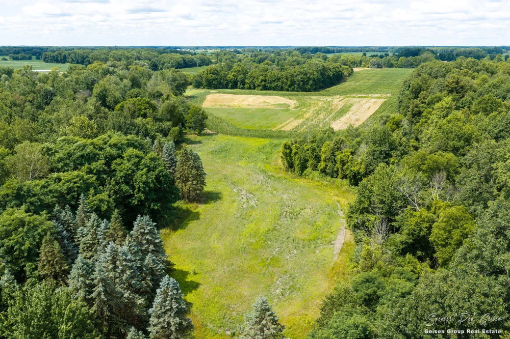 3796 Hoyt Road Belding, MI 48809
