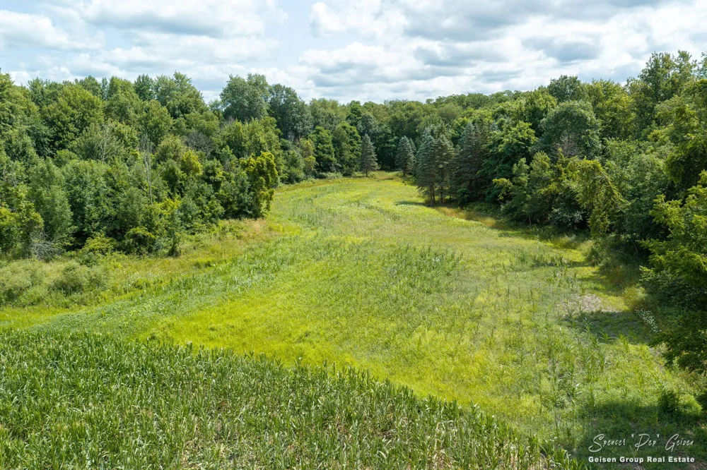 3796 Hoyt Road Belding, MI 48809