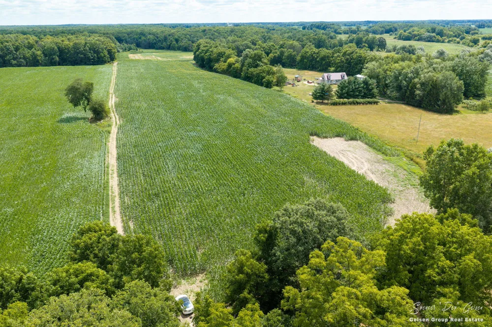 3796 Hoyt Road Belding, MI 48809