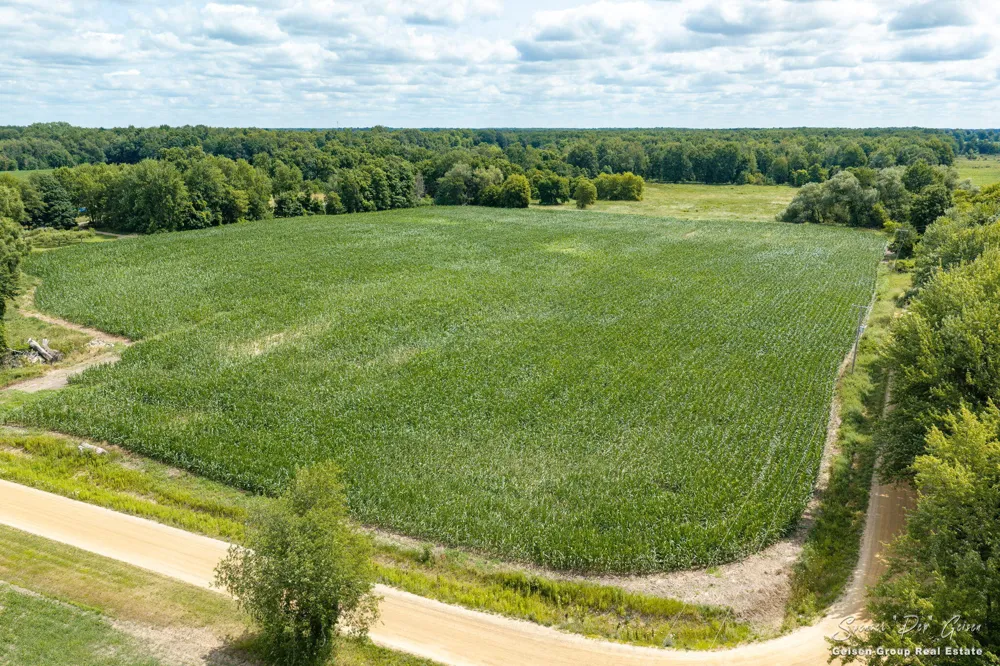 3796 Hoyt Road Belding, MI 48809
