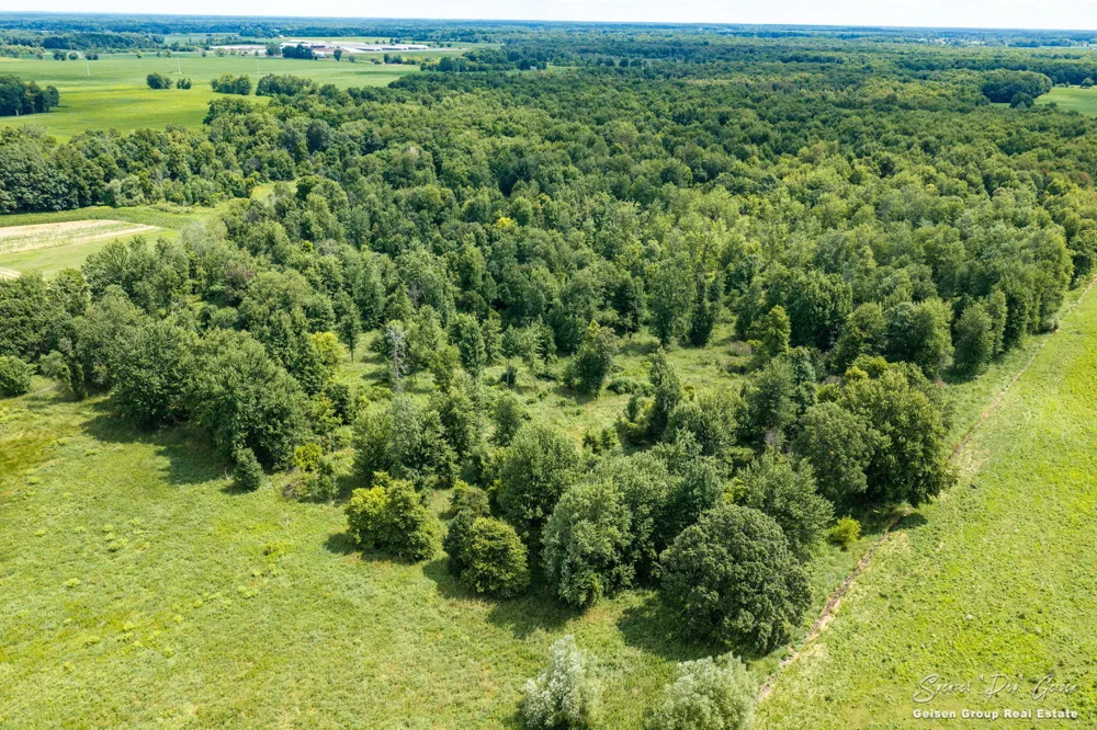 3796 Hoyt Road Belding, MI 48809