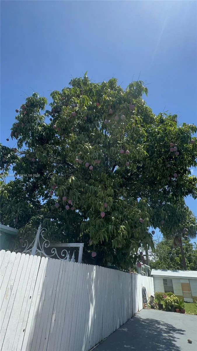 961 E 9th St Hialeah, FL 33010