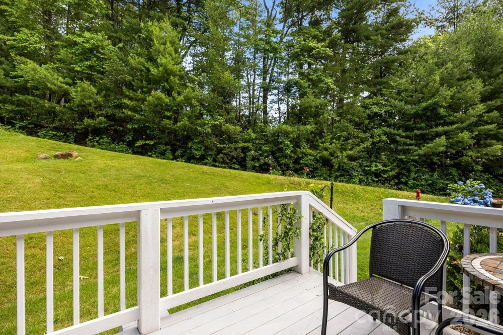 54 Thad Johnson Road Saluda, NC 28773