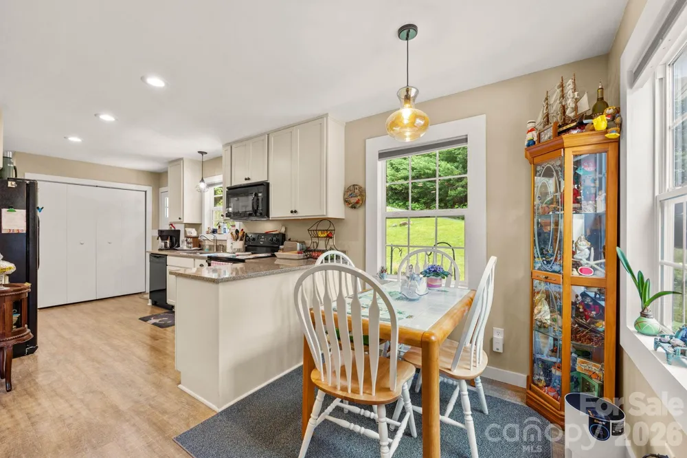 54 Thad Johnson Road Saluda, NC 28773