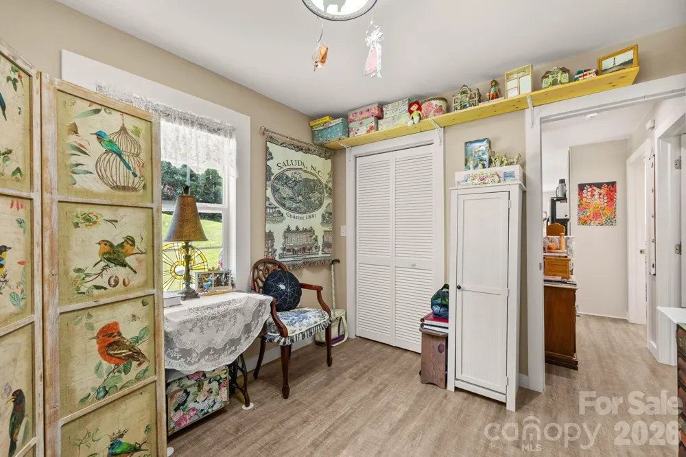 54 Thad Johnson Road Saluda, NC 28773