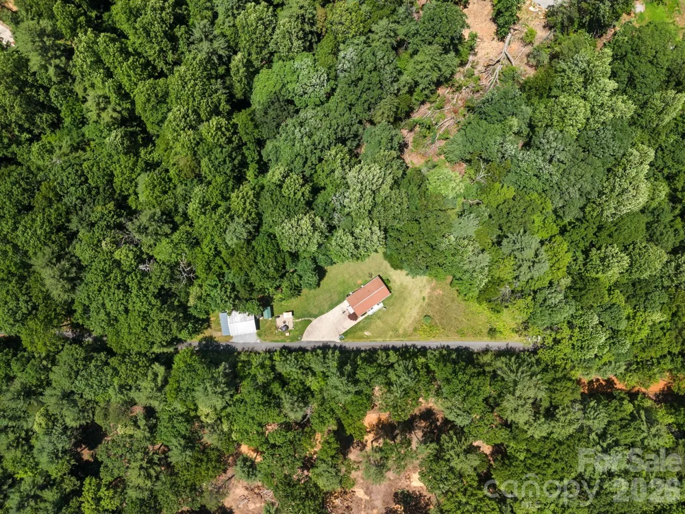 54 Thad Johnson Road Saluda, NC 28773