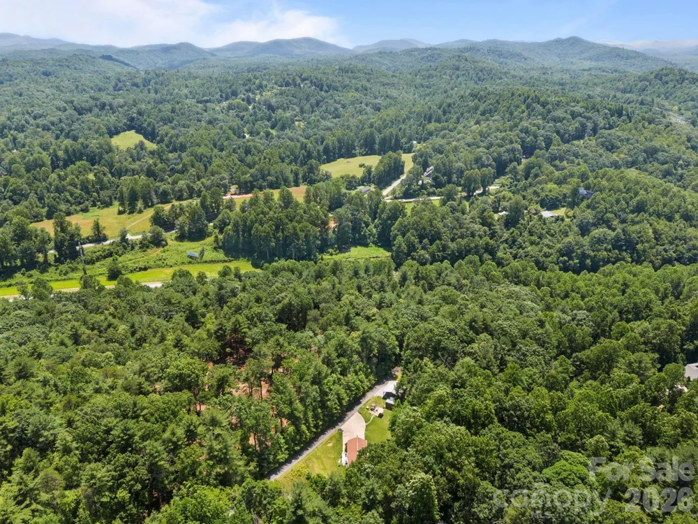 54 Thad Johnson Road Saluda, NC 28773
