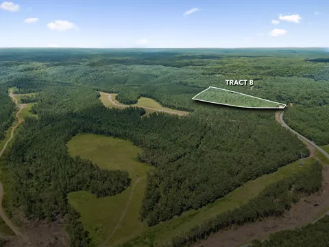 1420 Big Swan Creek Rd Tract 8