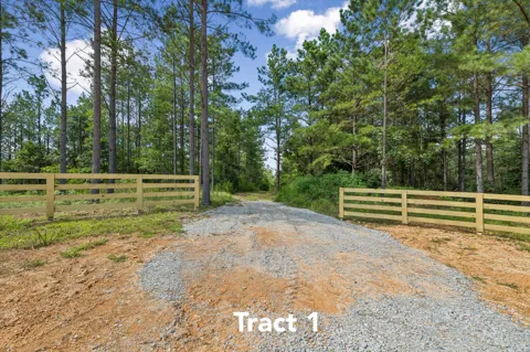 1420 Big Swan Creek Rd Tract 1