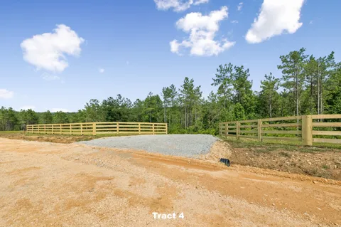1420 Big Swan Creek Rd Tract 4