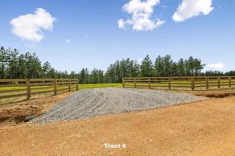 1420 Big Swan Creek Rd Tract 6